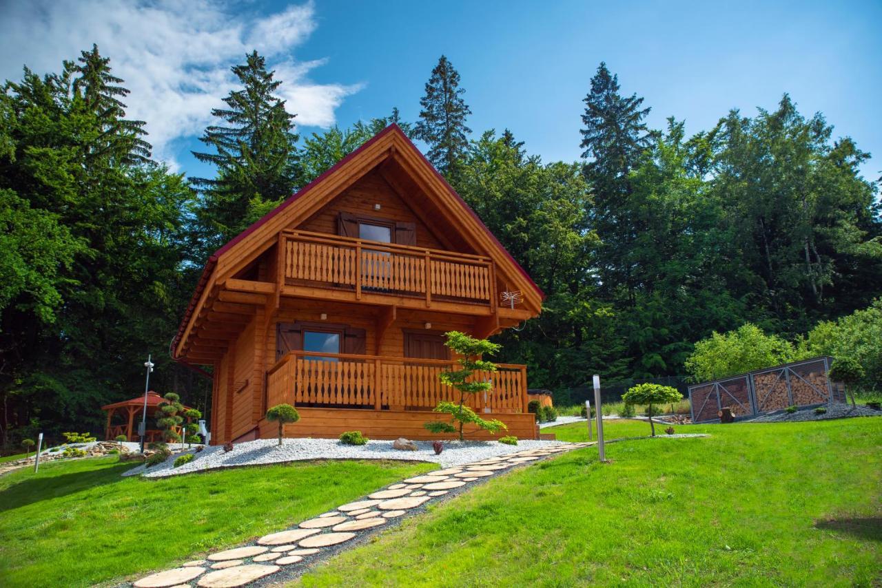 Gorskie Wytchnienie Domki Karkonosze Piechowice  Exterior photo